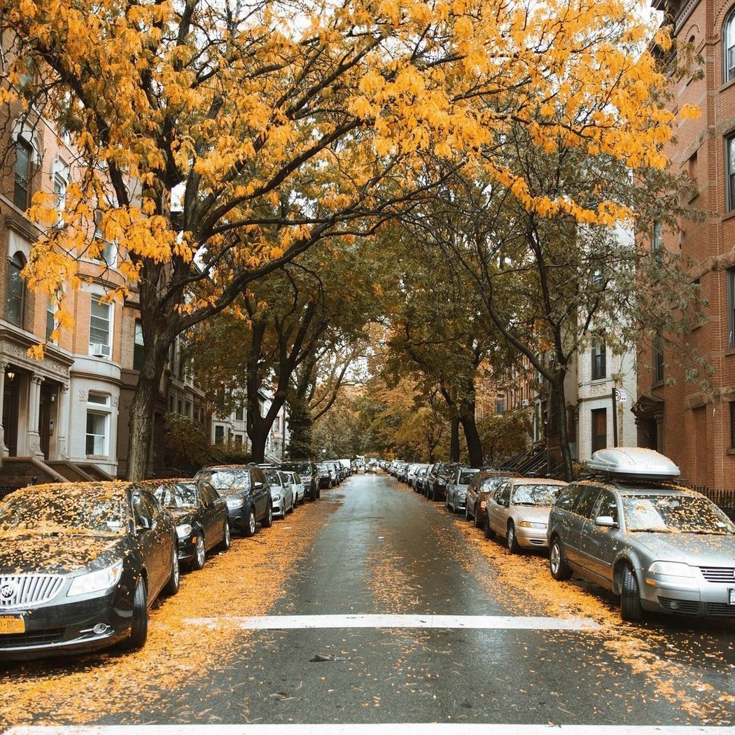 Prospect Heights 1