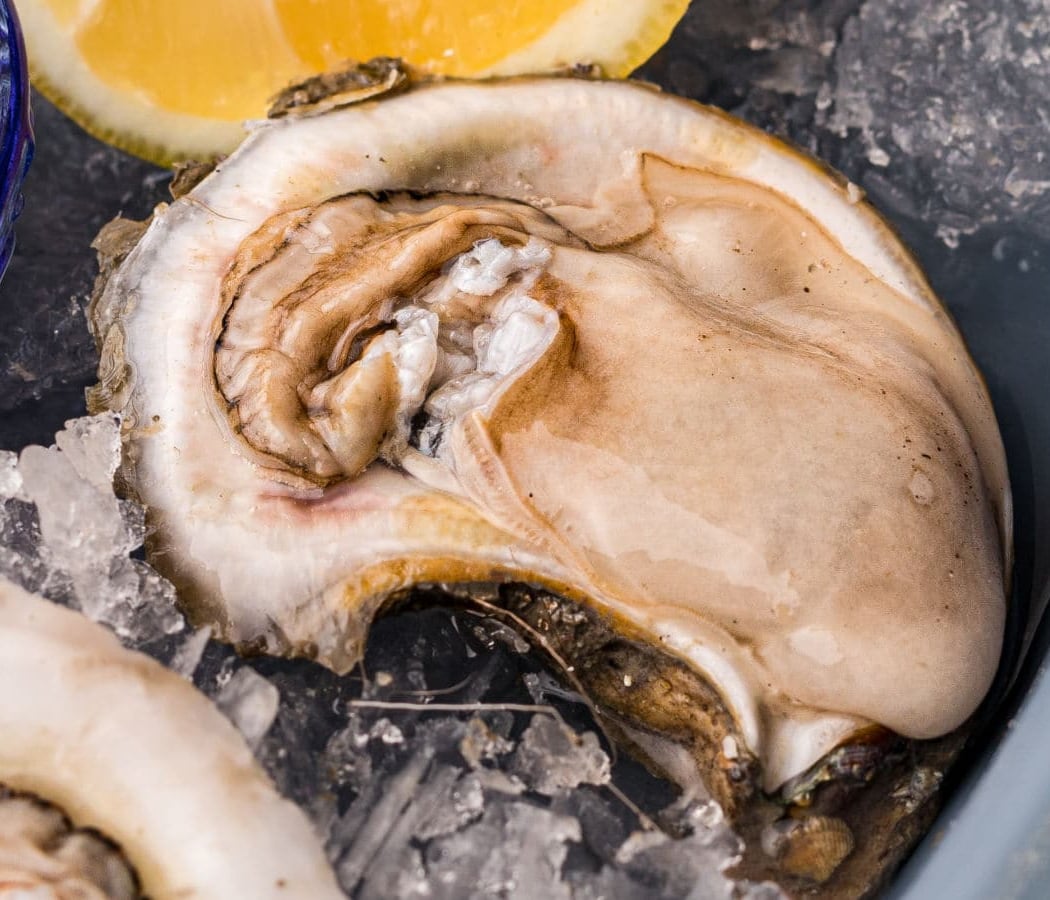 Tuesday Night Raw Oyster Bar 2