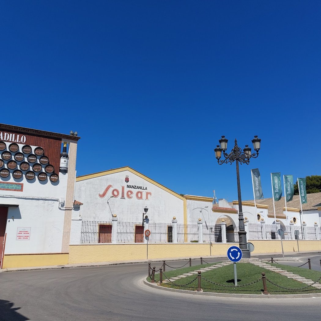 Manzanilla Solear 3