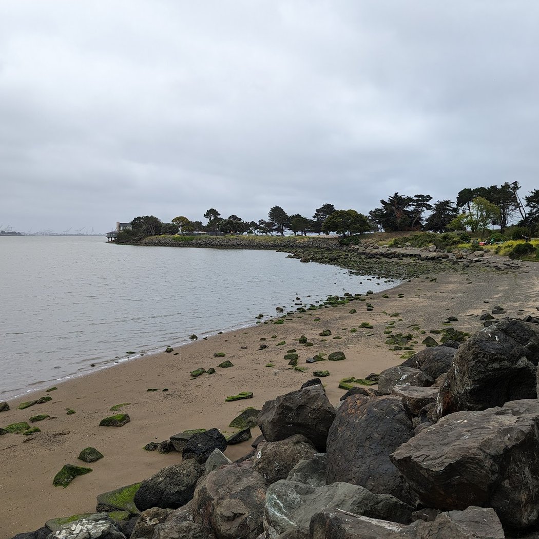 Shorebird Park Playground 3