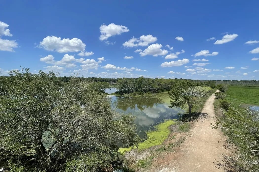 All About Us: A Guided Hike 2