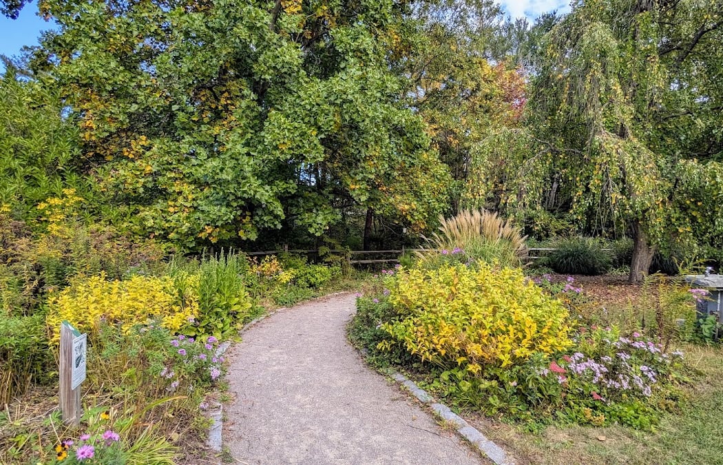 Acton Arboretum 3