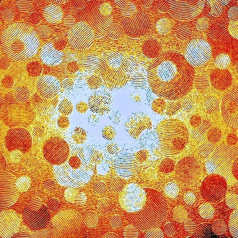 Exposition des Petits Formats et Oeuvres sur Papier 1