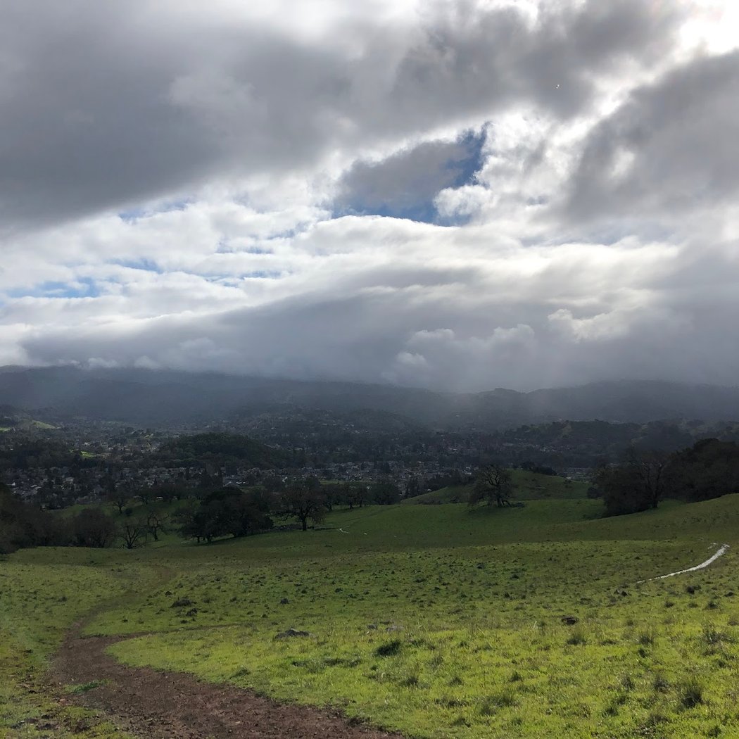 Mt Burdell Hike 3