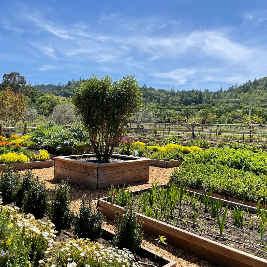 Culinary Garden Cooking Classes 3