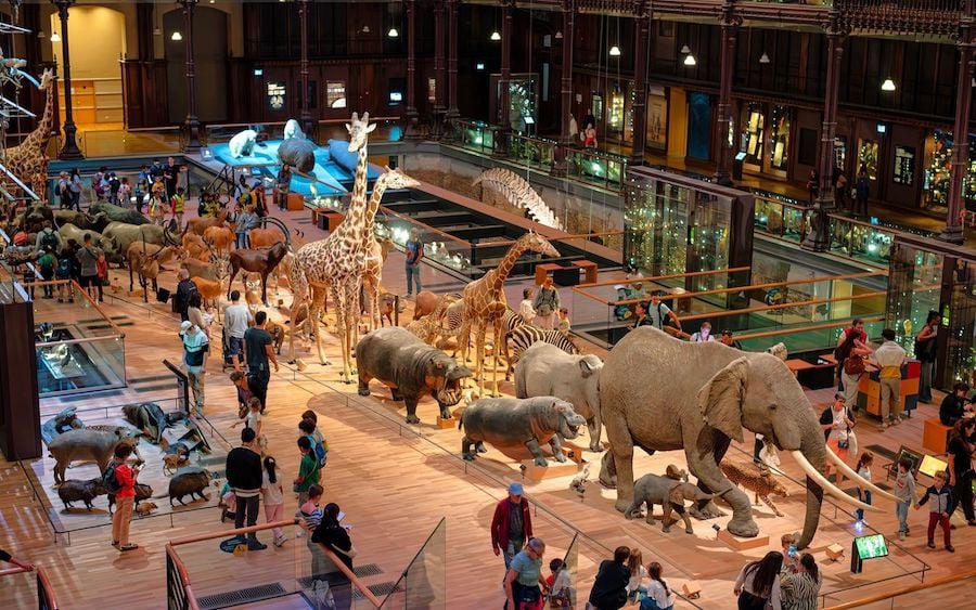 Voyage Extraordinaire à la Grande Galerie de l’Evolution 1