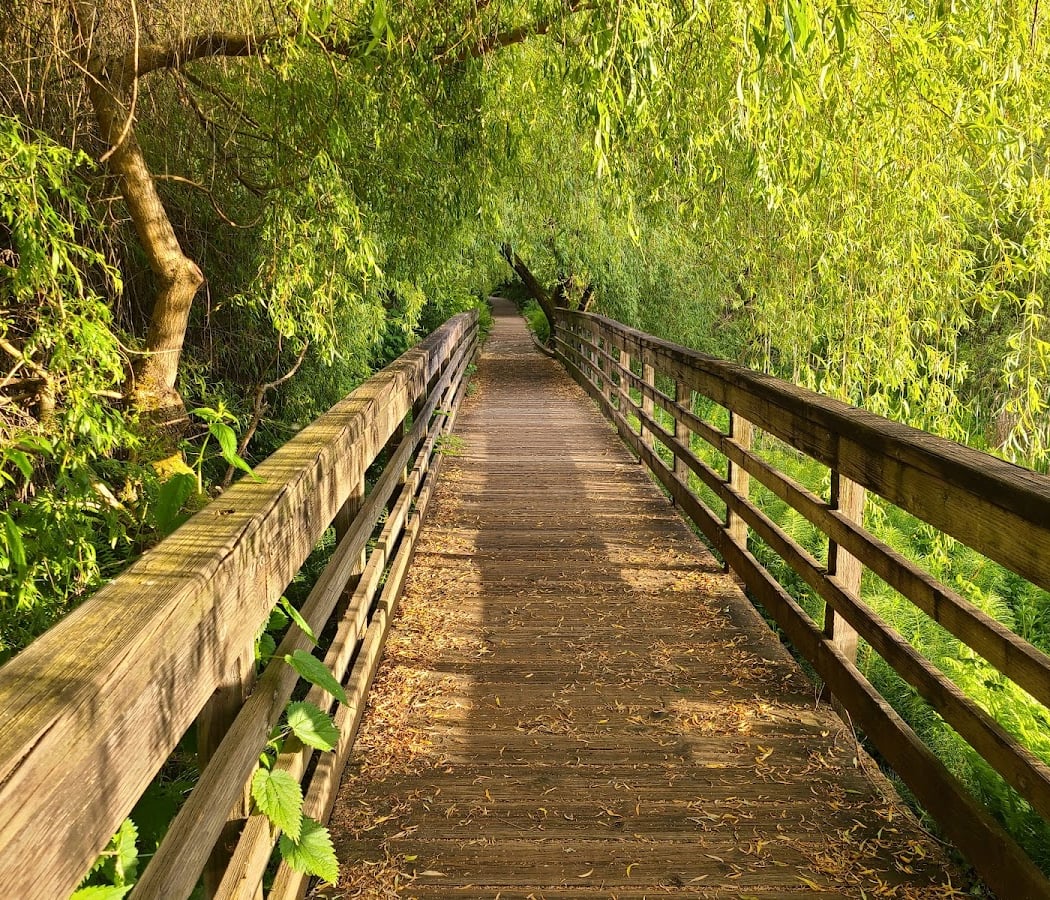Juanita Bay Park 1
