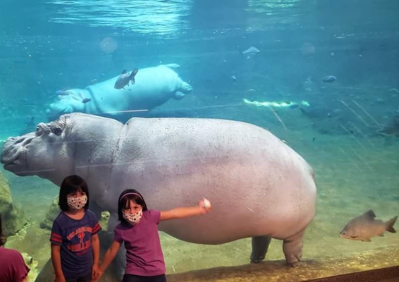 Adventure Aquarium 4