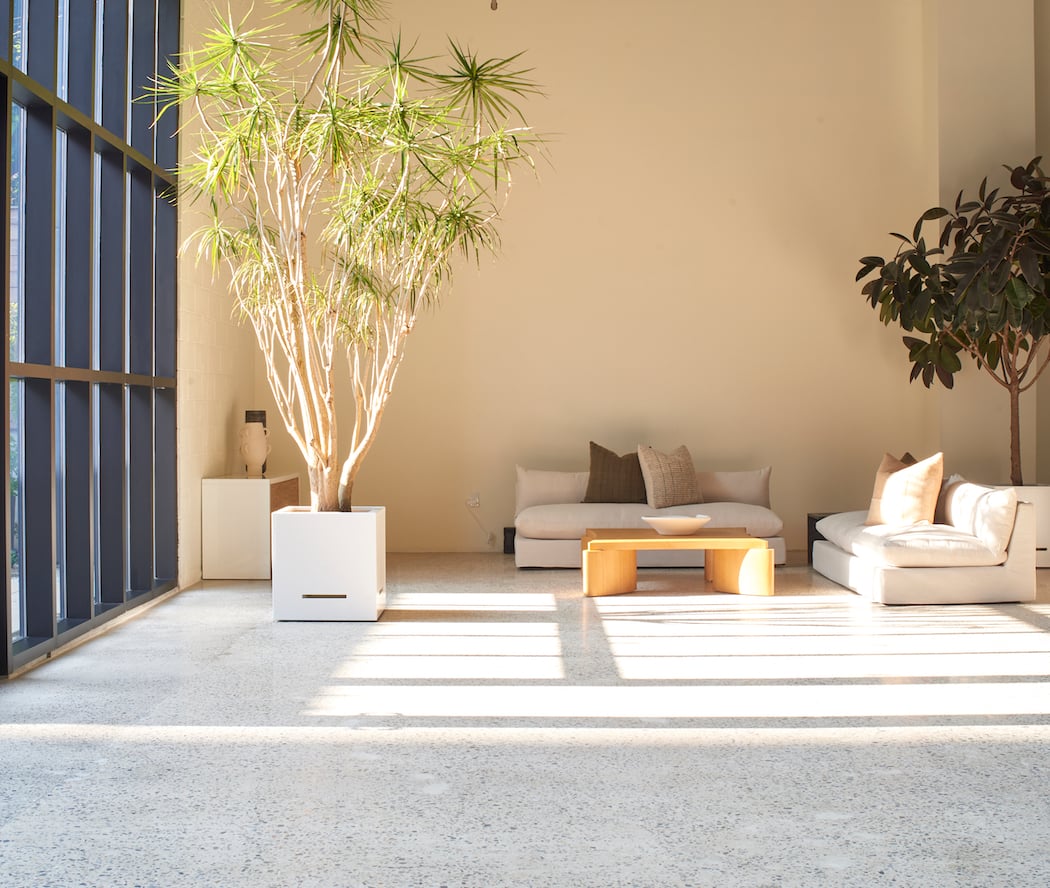 Shell's Loft 2