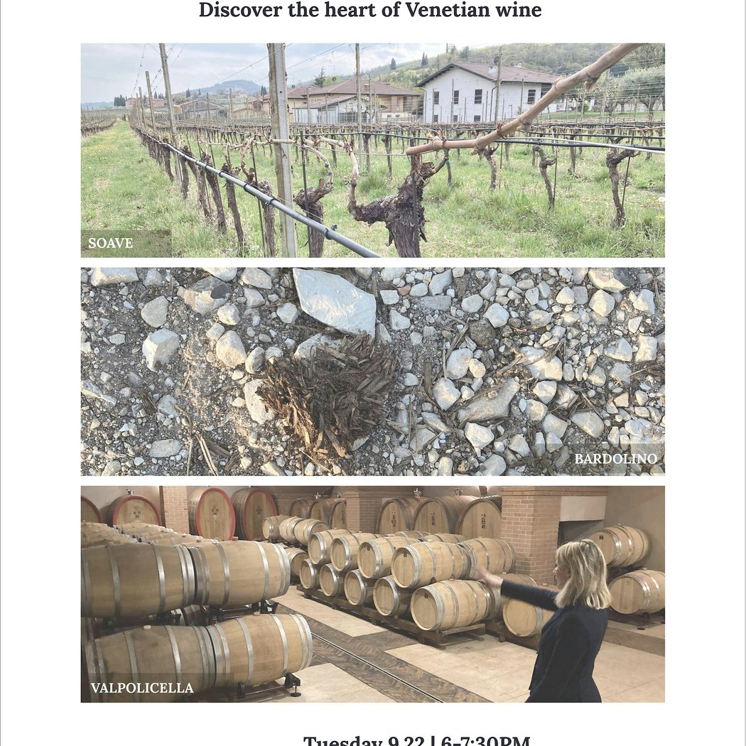Wine Class: Veneto Classico