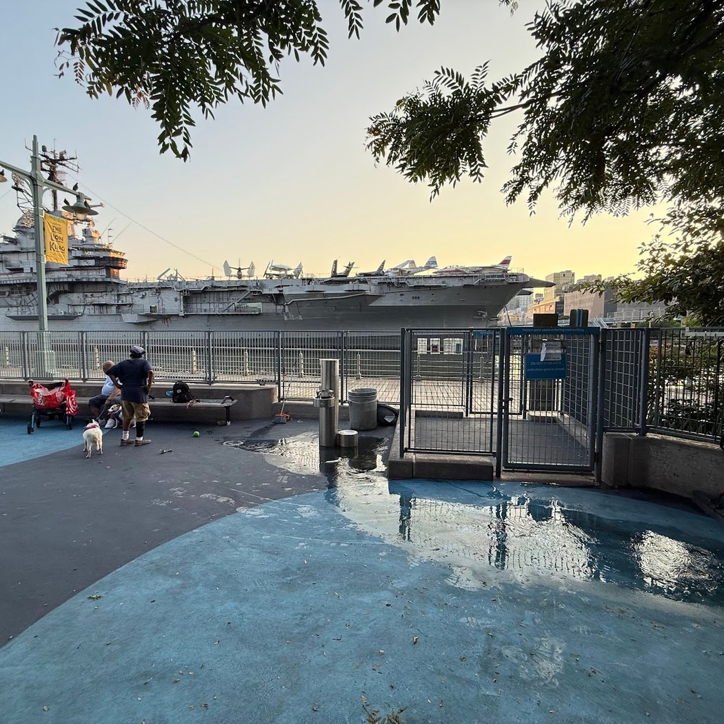 Pier 84 Dog Run 4