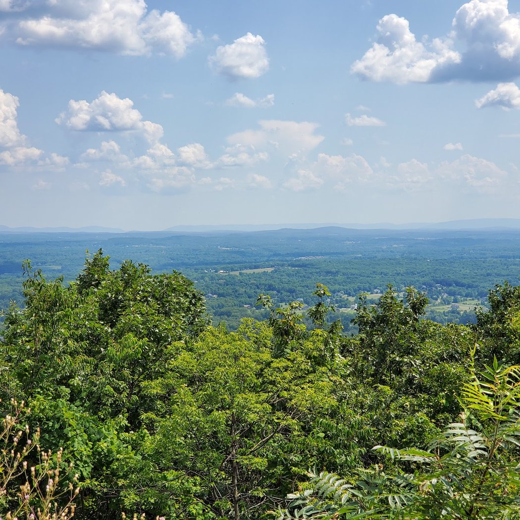 Scenic Overlook 2