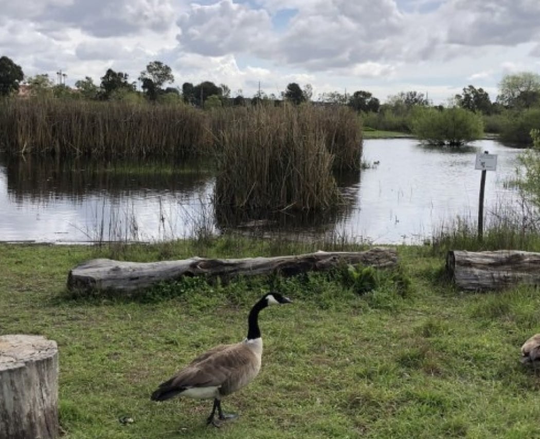Nature Storytime 2