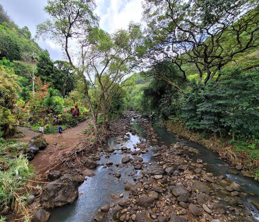 Waimea Valley 4