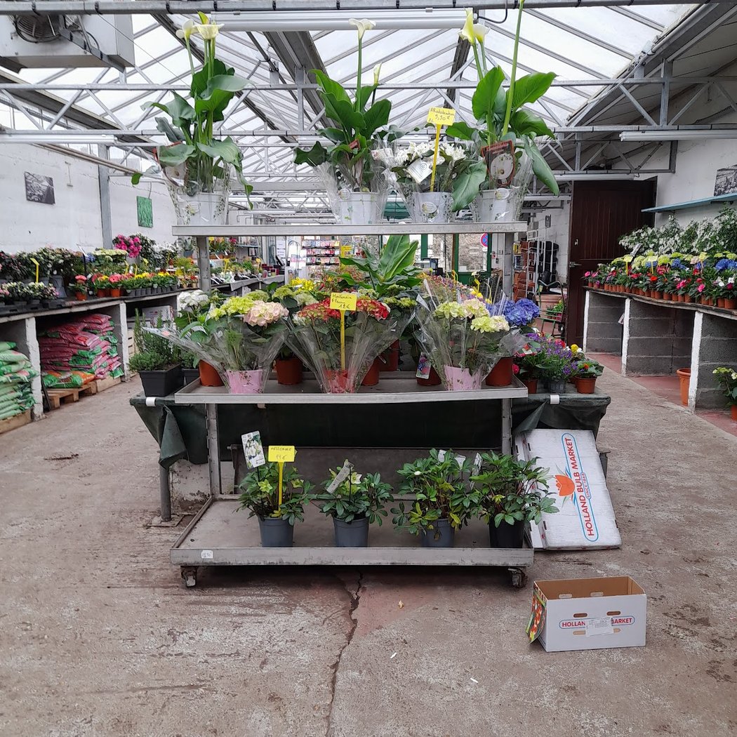 Greenhouses Butry 3
