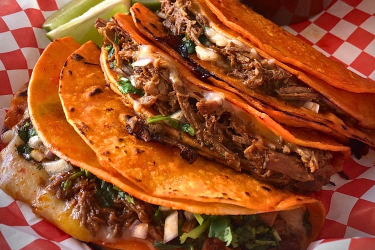 El Fuego Food Truck (BIRRIA TACOS) 1
