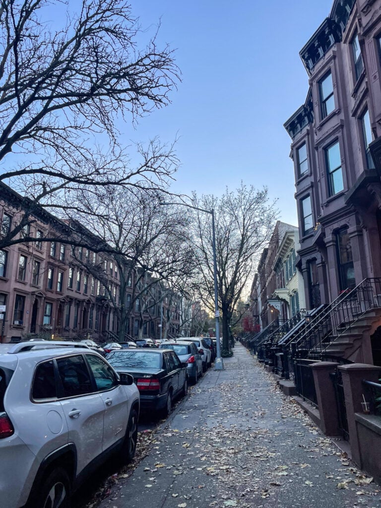 Park Slope Historic District 2