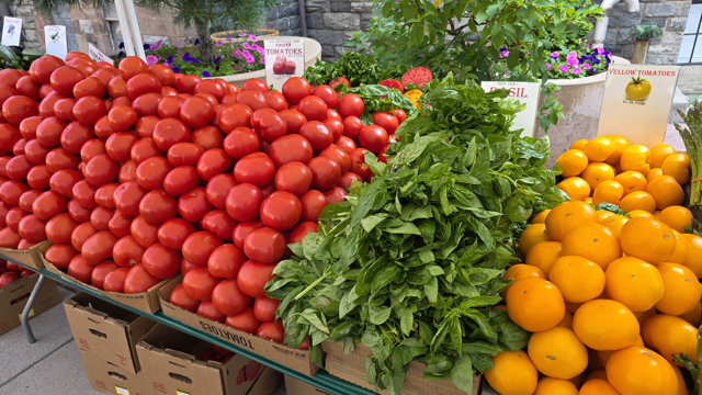 Roosevelt Island Saturday Farmers Market 3