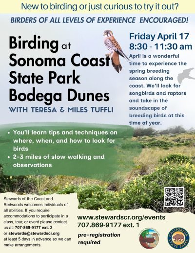 Birding at Bodega Dunes 1