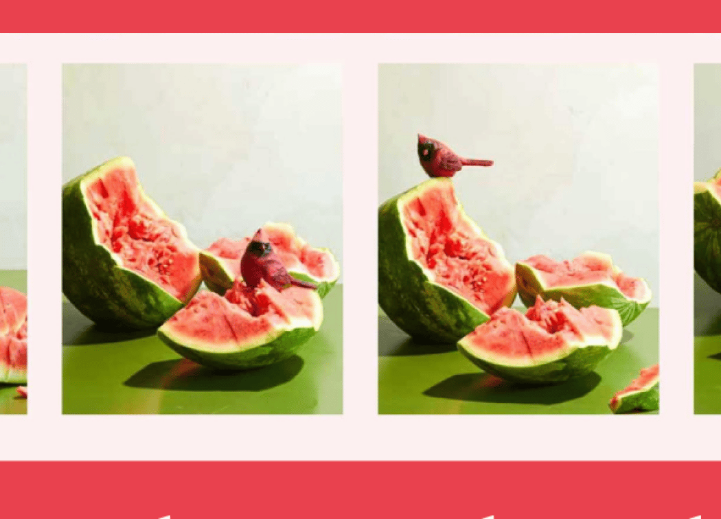 Watermelon and Red Birds - Celebrating Juneteenth with Nicole Taylor and Osayi Endolyn 1
