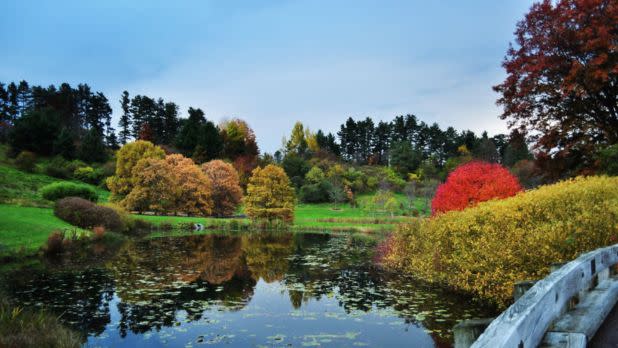 F. R. Newman Arboretum 1