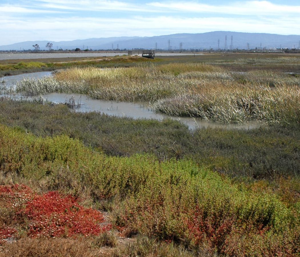 Ravenswood Open Space Preserve 2