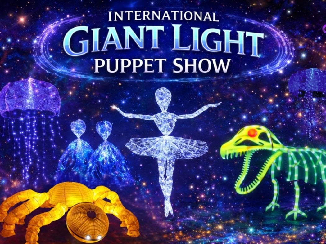 GIANT LIGHT PUPPET SHOW 2