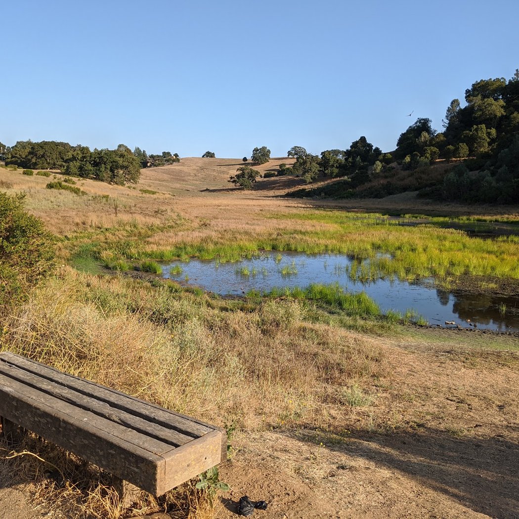 Rosendin Park 2