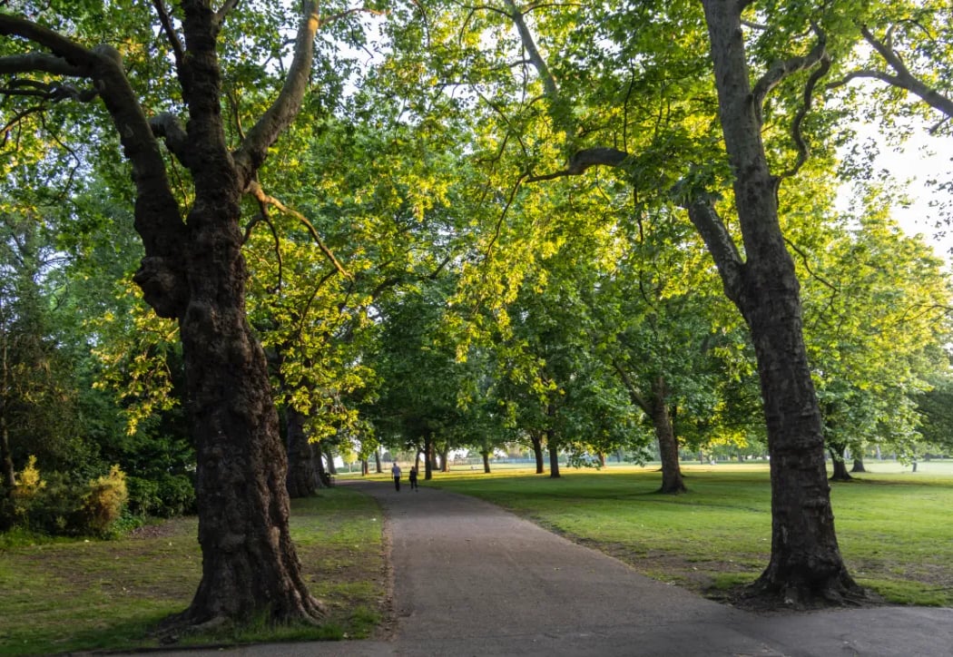 Parkland Walk (North) 1