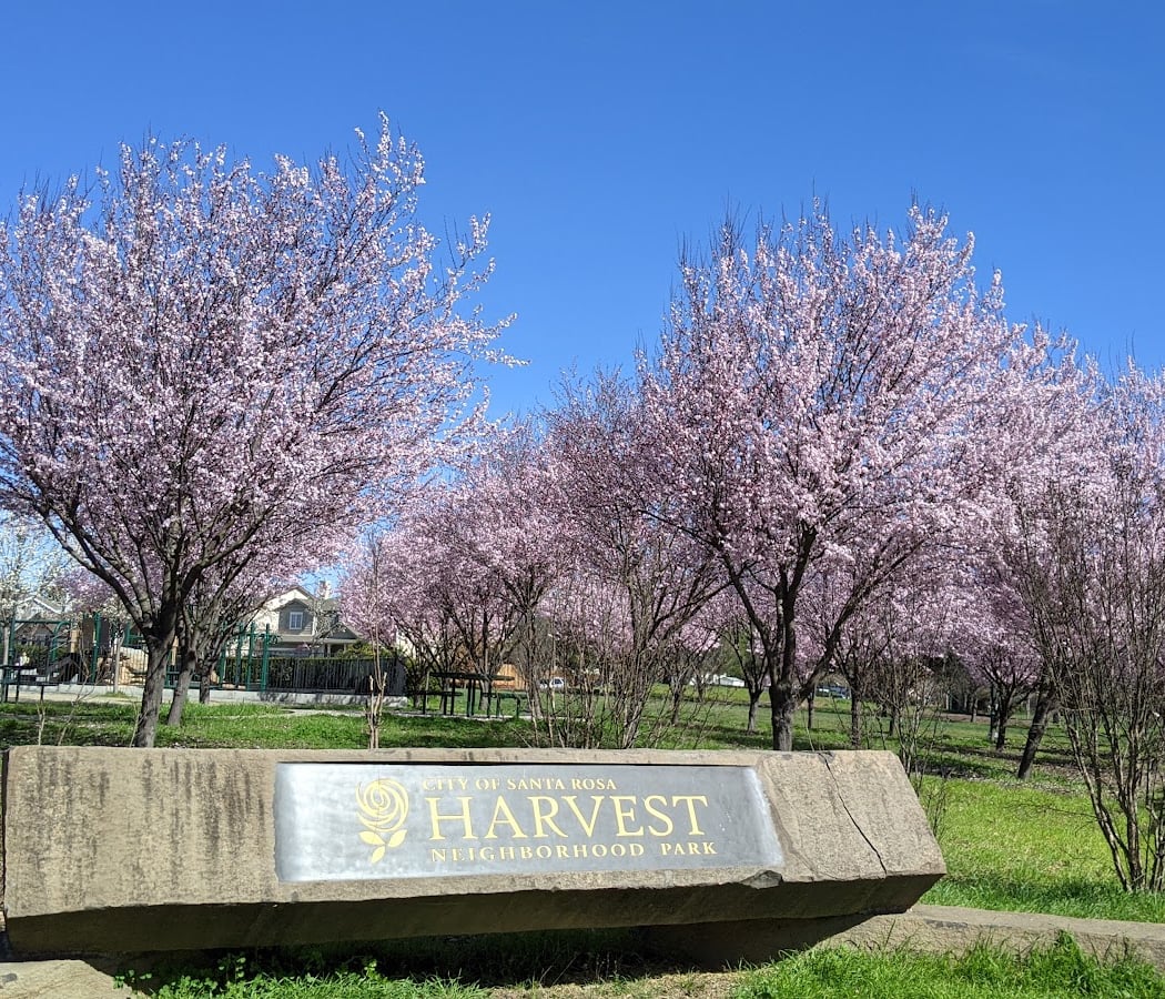 Harvest Park 1