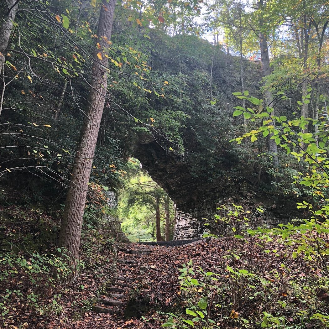 Backbone Rock Campground 1