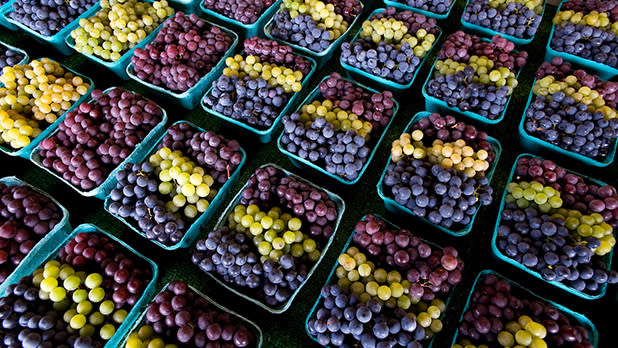 Lake Erie Grape Discovery Center 1
