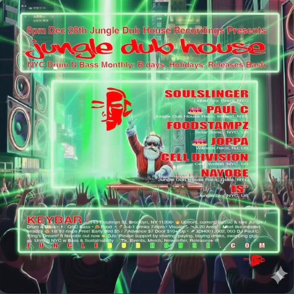 Jungle, Dub, House Holiday Release Party 1