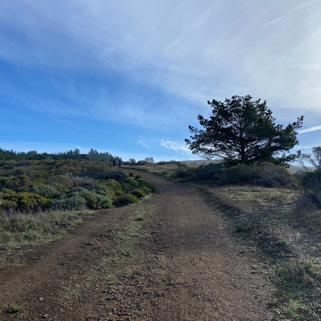 Sweeney Ridge Trailhead 2