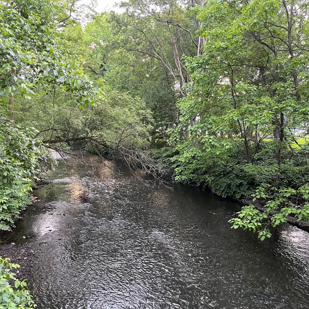 Rahway River Parkway 2