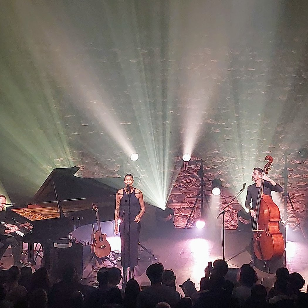PITCHFORK 2025 : AVANT-GARDE - SAMEDI 3