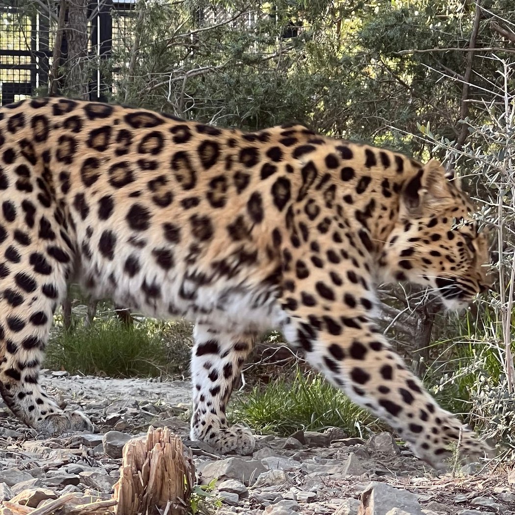 EcoZonia - Parc Animalier 2