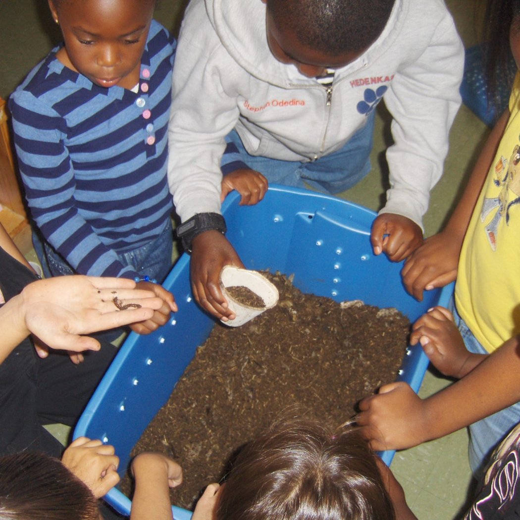 SRP Eco Camp 2