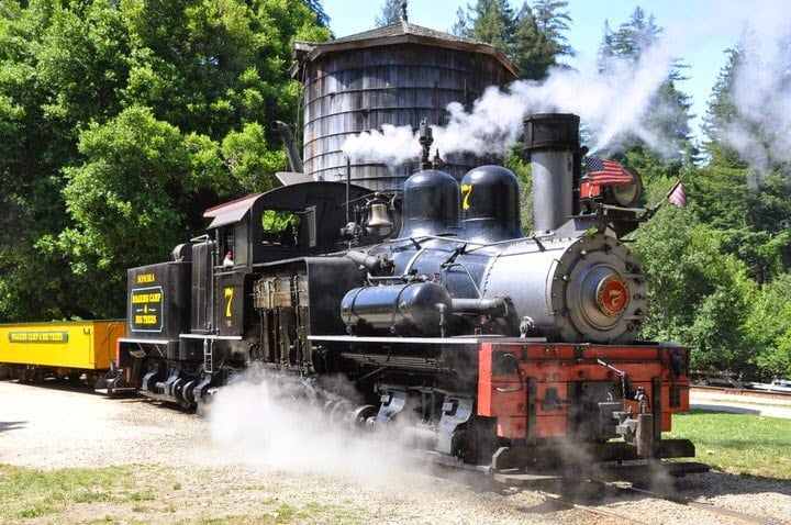 Roaring Camp 1