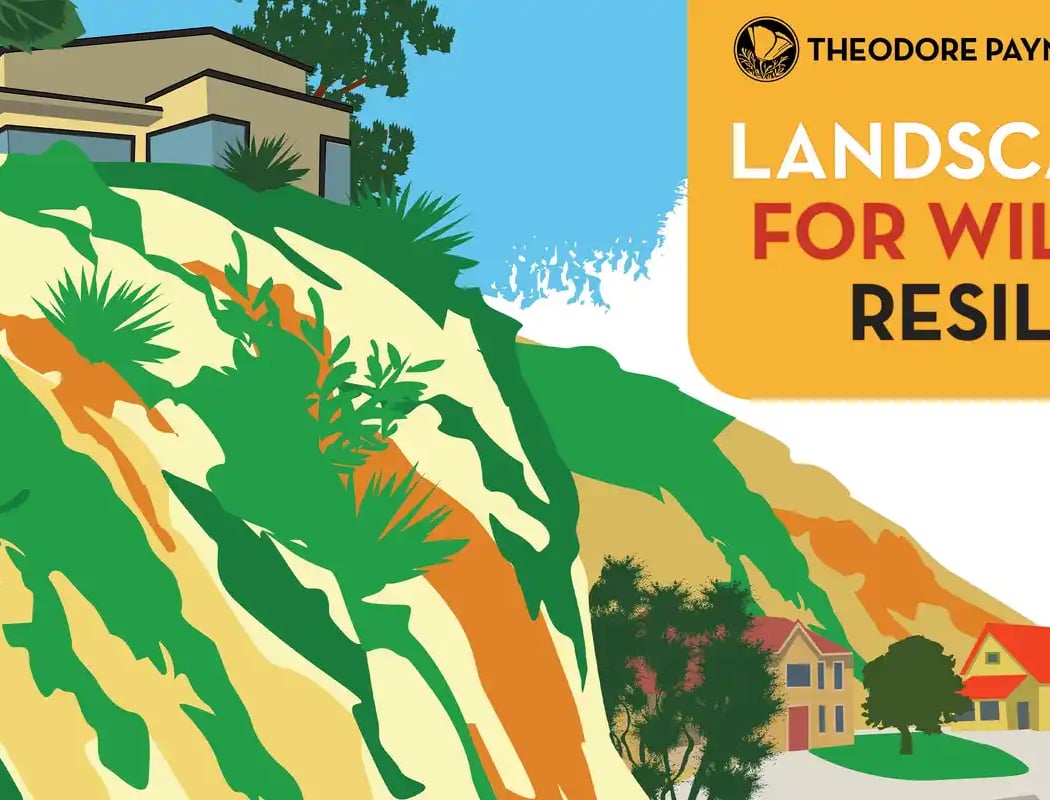 Landscaping for Wildfire Resilience with Erik Blank 1