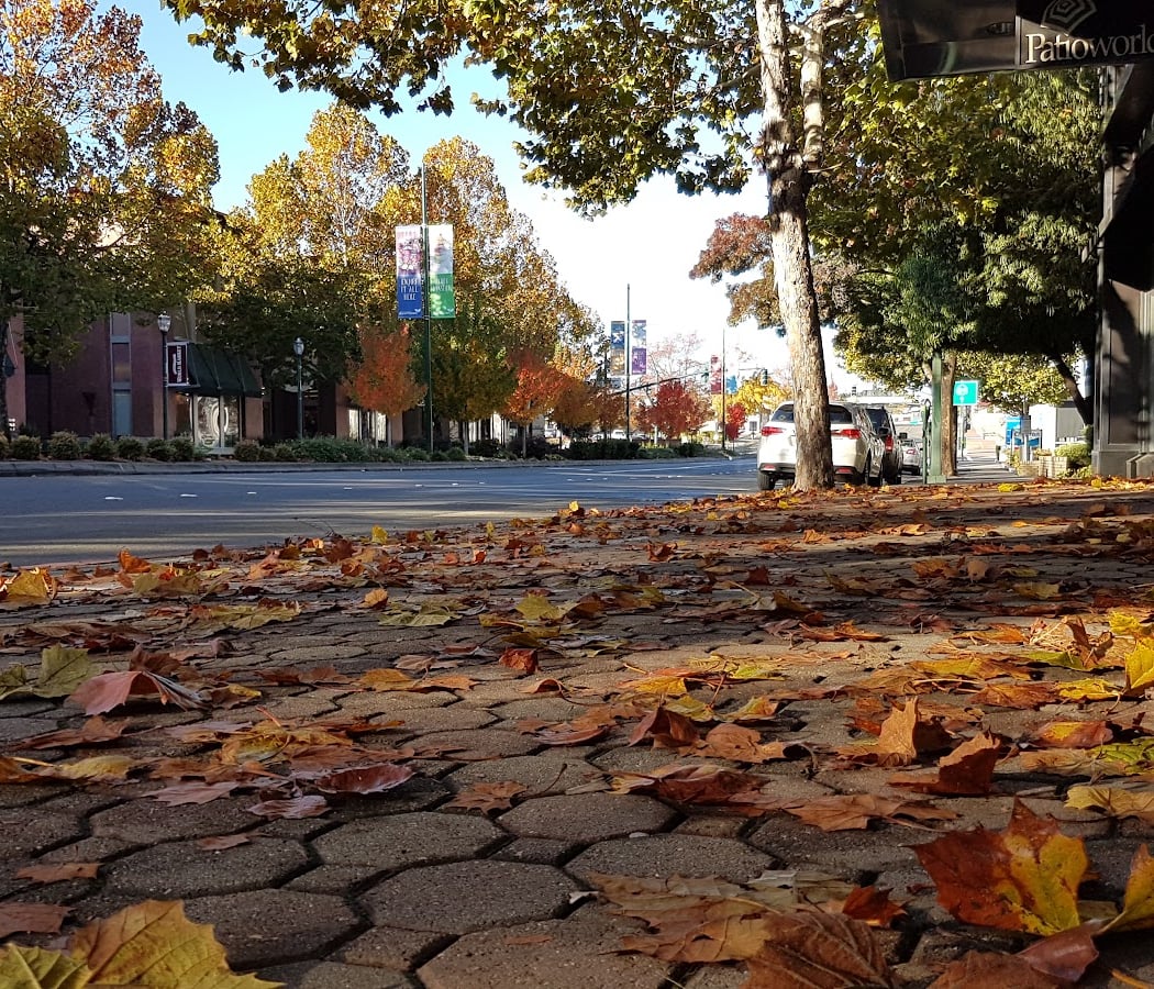 Mt Diablo Blvd 3