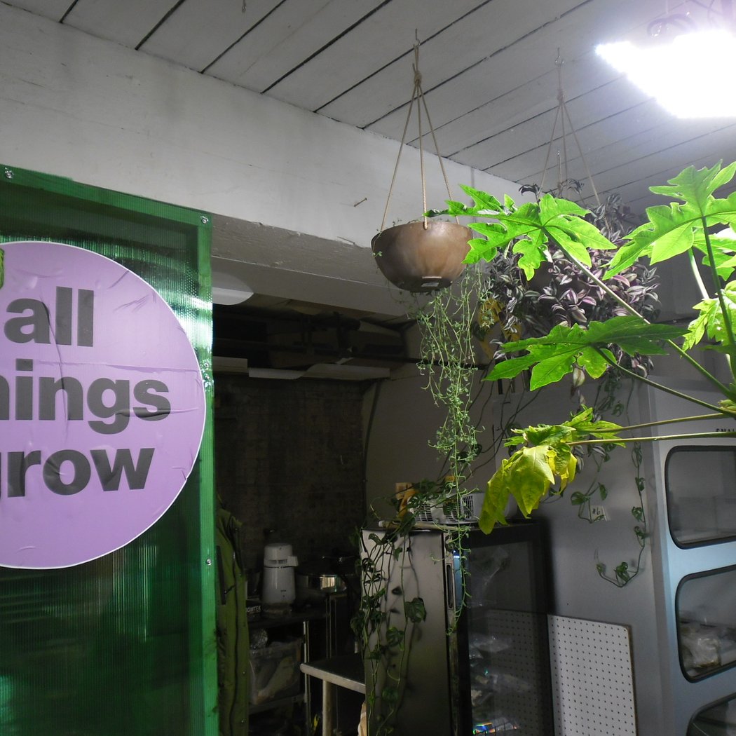 All Things Grow 2