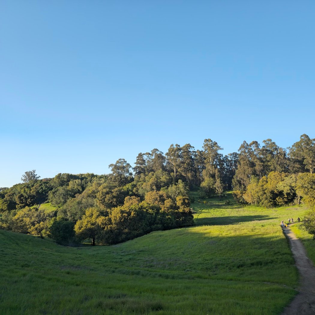 Westwood Hills Park Invasive Plant Removal Days 3