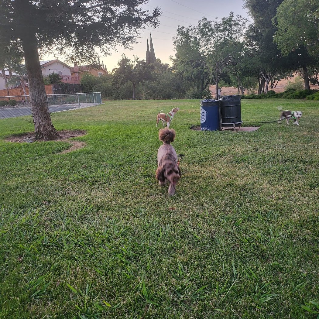 Meadowbrook Park 3