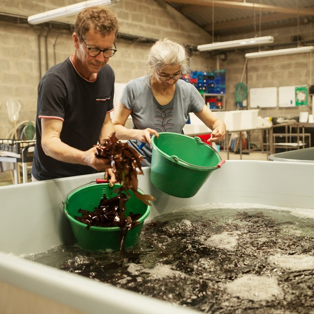 Ateliers de cueillette et de cuisine 2
