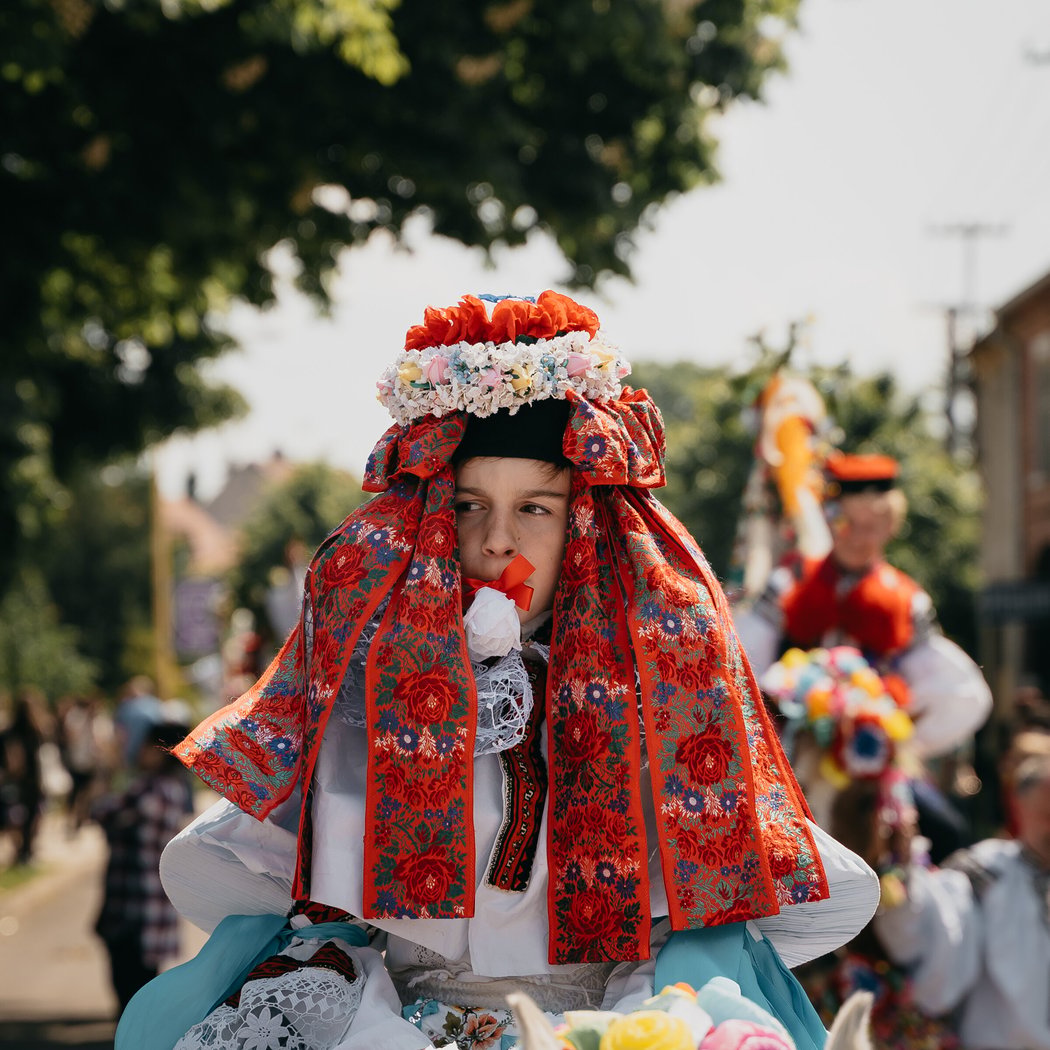 Wilber Czech Festival 2