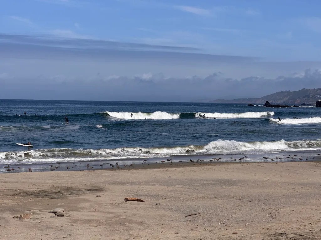 Surfing Lesson 1