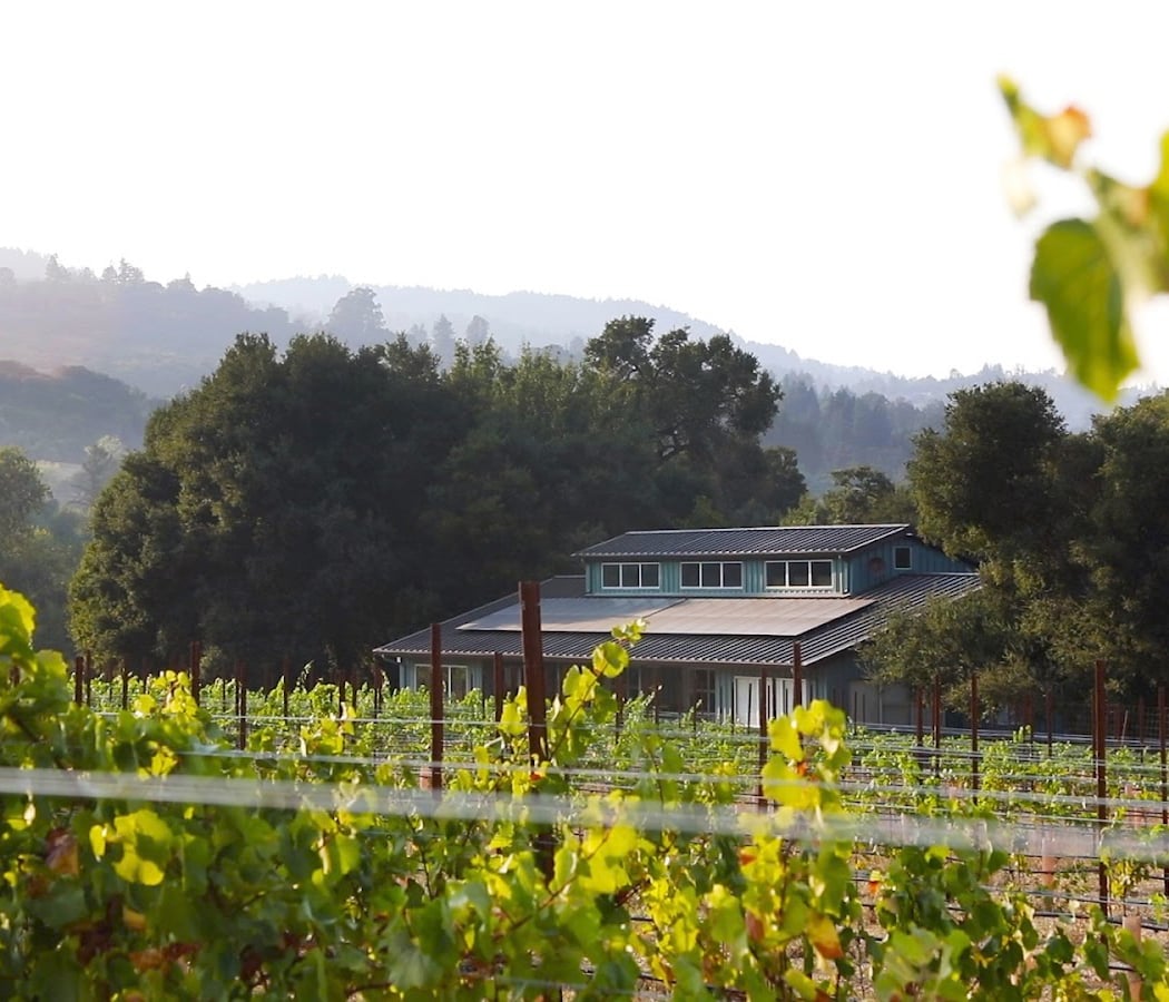 Neely Wine 2