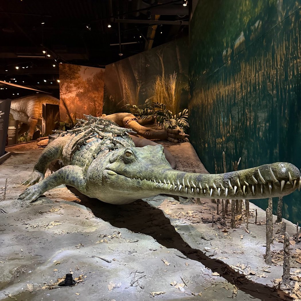 Edelman Fossil Park & Museum — general admission 2