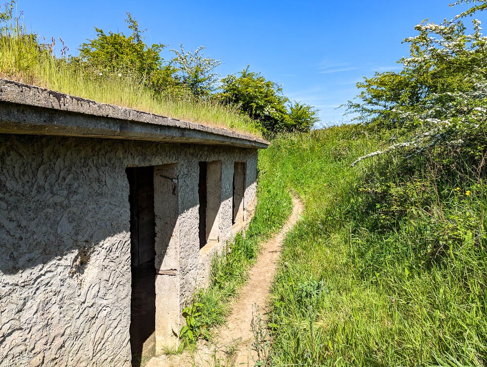 Maisy Battery 1
